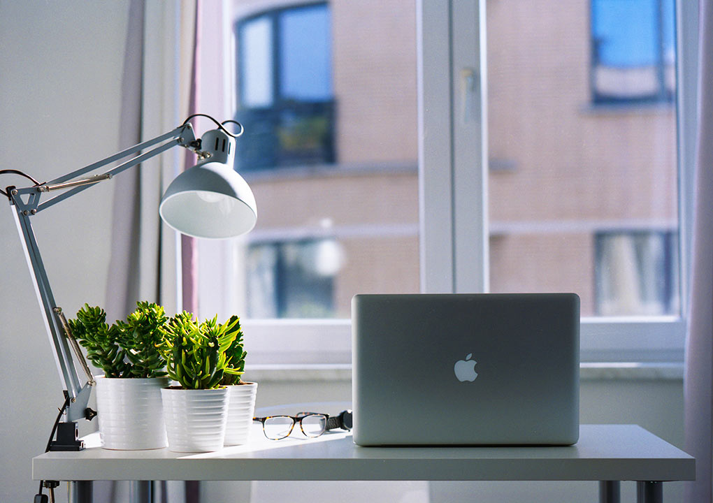 luz natural: espacio sano para el teletrabajo